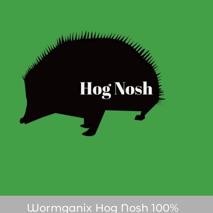 Wormganix Worm Castings - Wholesale Pet supplement – Not cat/dog - Wormganix Hog Nosh 100% Natural Dry Hedgehog Food Oven Roasted BSF larvae Tasty Treats 1 Litre Pouch5