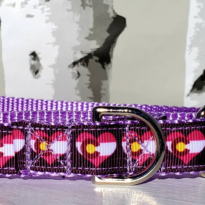Rocky Mountain Hound - Wholesale Pet Collar - Dog - 1" Colorado Dog Collar, Leash, or Martingale3