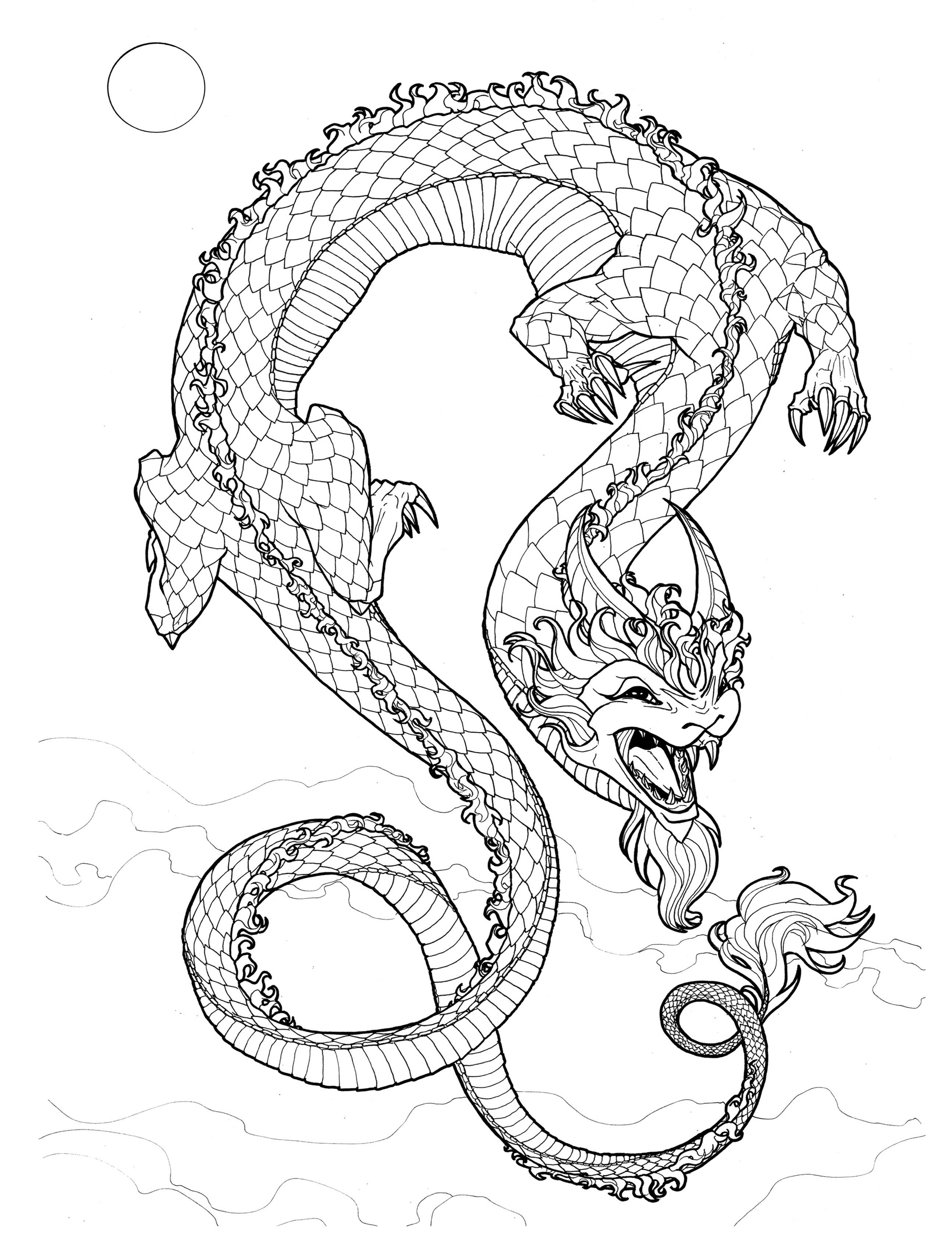 Indi Martin Art - Wholesale Coloring & Activity Book - Adult - Coloring Book: Dragons & Dragonkin - Fantasy5