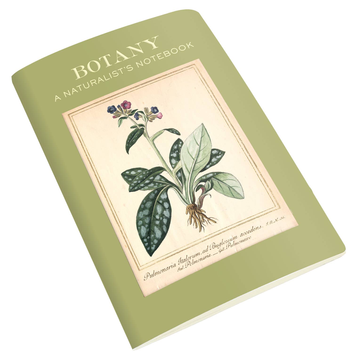 Unemployed Philosophers Guild - Wholesale Notebook - Botany Naturalist's Notebook4