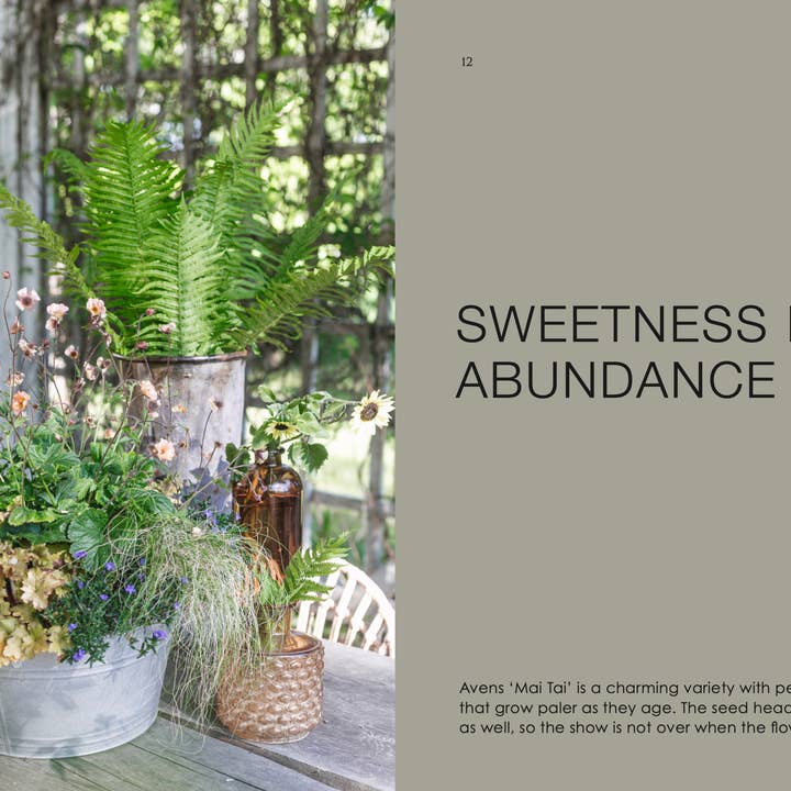 Cozy Publishing - Wholesale Book – Adult - The Potted Garden - All Year Round