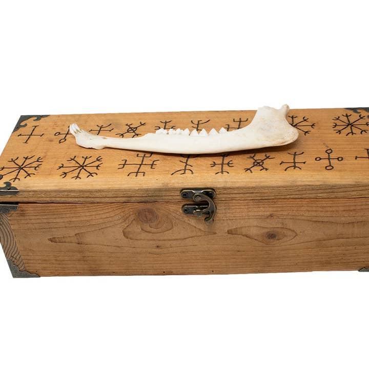 Boîte à mâchoire de cerf Nine Helms pour la vente par Oreamnos Oddities