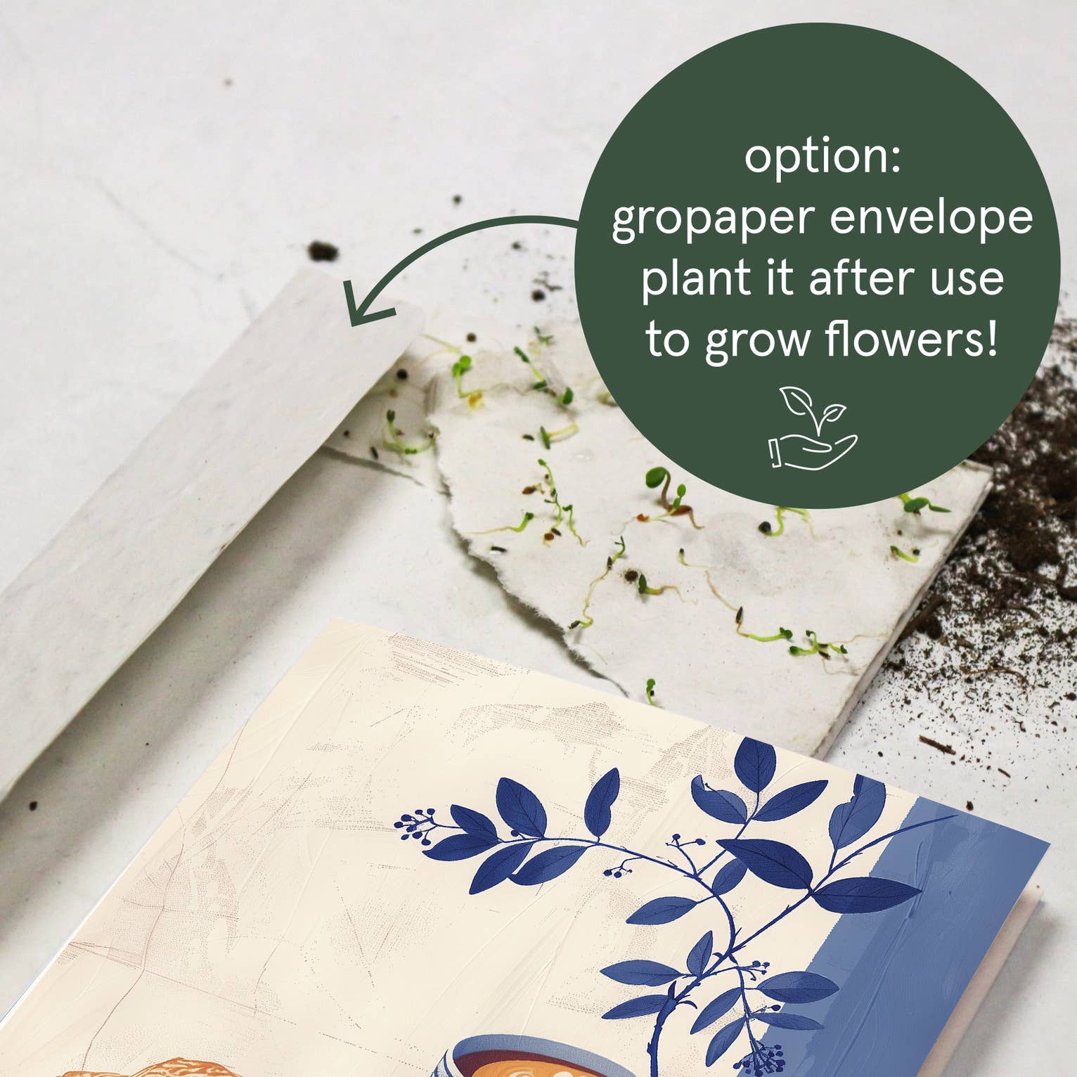 Botanopia - gifts , decor and cards for plant lovers - Wholesale Everyday Greeting Card - Un croissant et du soleil | Everyday Greeting Card in French7