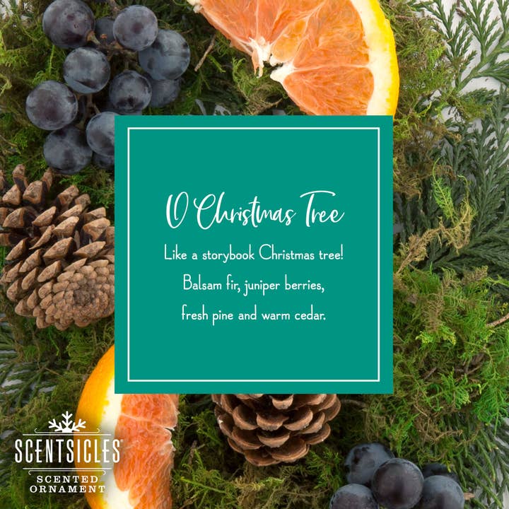 Scentsicles - Wholesale Retailer Display - Home & Living - Scentsicles, Flameless Fragrance O Christmas Tree Scent6