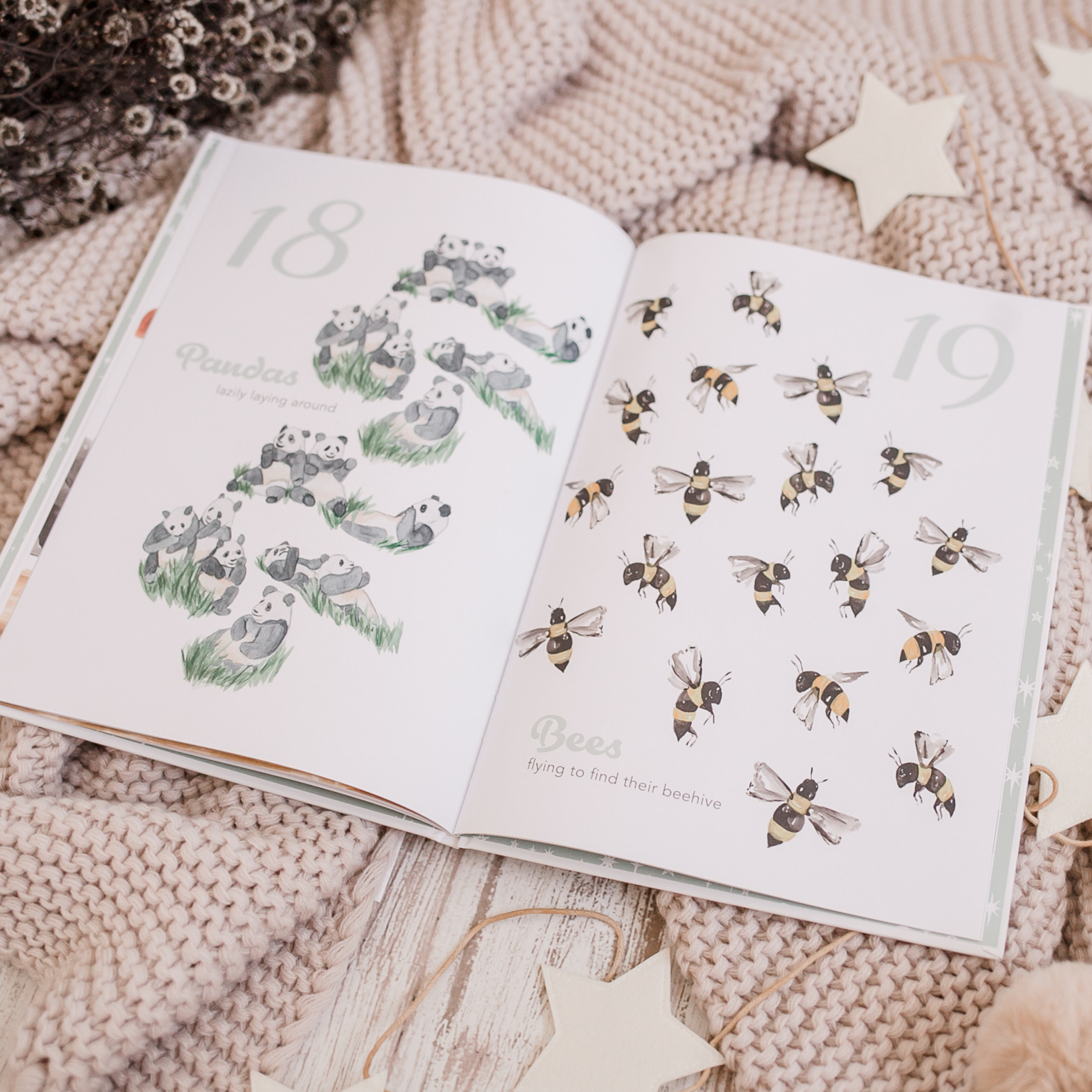 Adored Illustrations - Wholesale Baby & Toddler Book (0-2) - The Amazing 1235