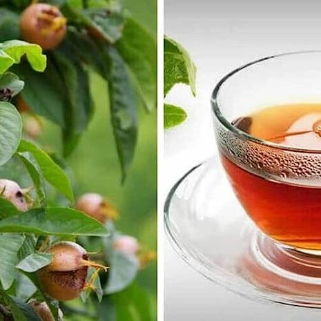 YERBERO - Wholesale Loose Tea - Yerbero - Te Herbal Hojas De Nispero 2oz (58gr) Herbal Tea (Loquat Leaves Tea)2