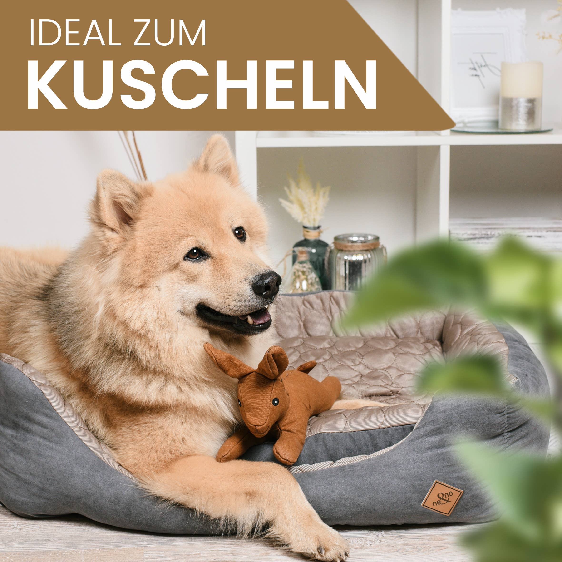 ne&no - Wholesale Pet Plush Toy - Dog - ne&no® Durable Dog Toy with Squeaker - Bunny Haru4