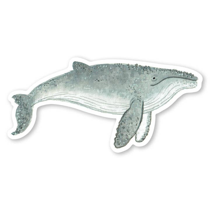 Buckelwal-Aufkleber für den Großhandel von Party Mouse Studio