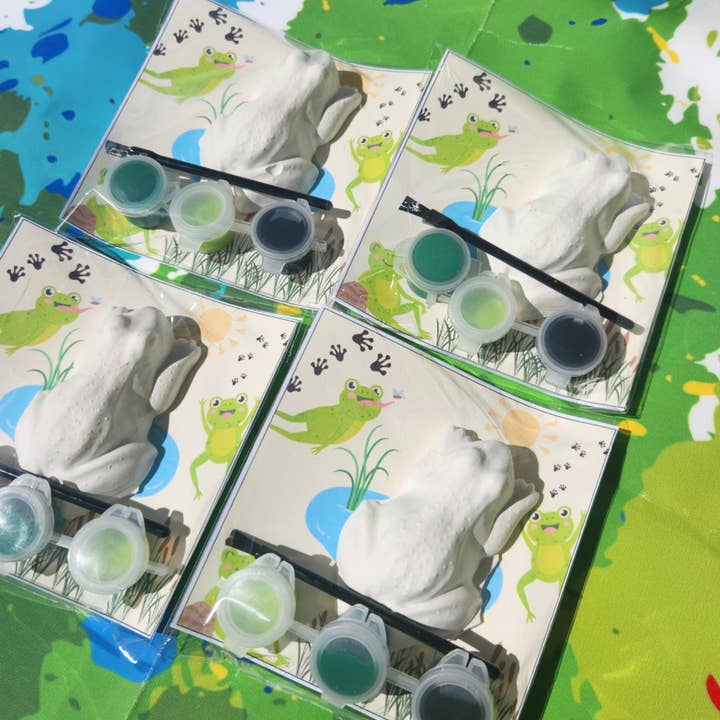 Snazzy Crayons - Wholesale Party gift - Frog Plaster Paint Kit - Party Favor3