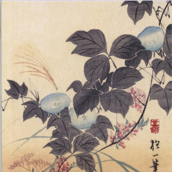 FANGST 12X12 DOBBELT KORT NC 33765 for engroshandel hos Phenicia