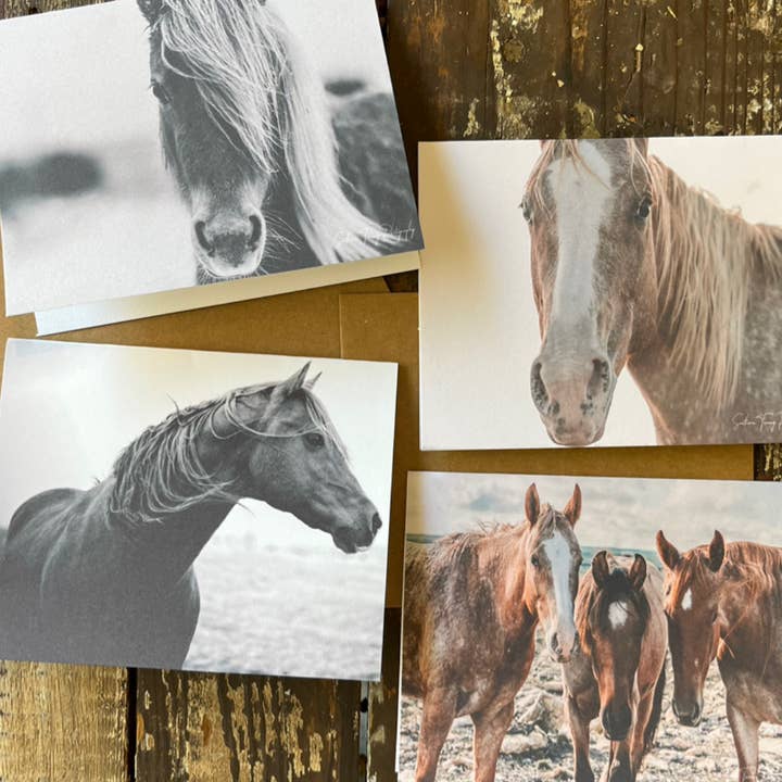 Horse notecards, Equestrian blank card set, stationery set for wholesale by Rustic Nester