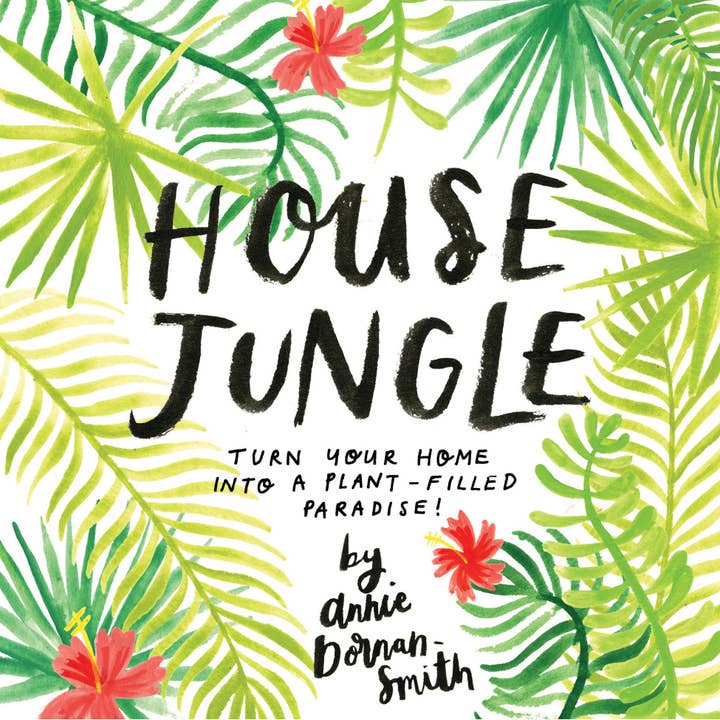 House Jungle for wholesale by Hachette Book Group
