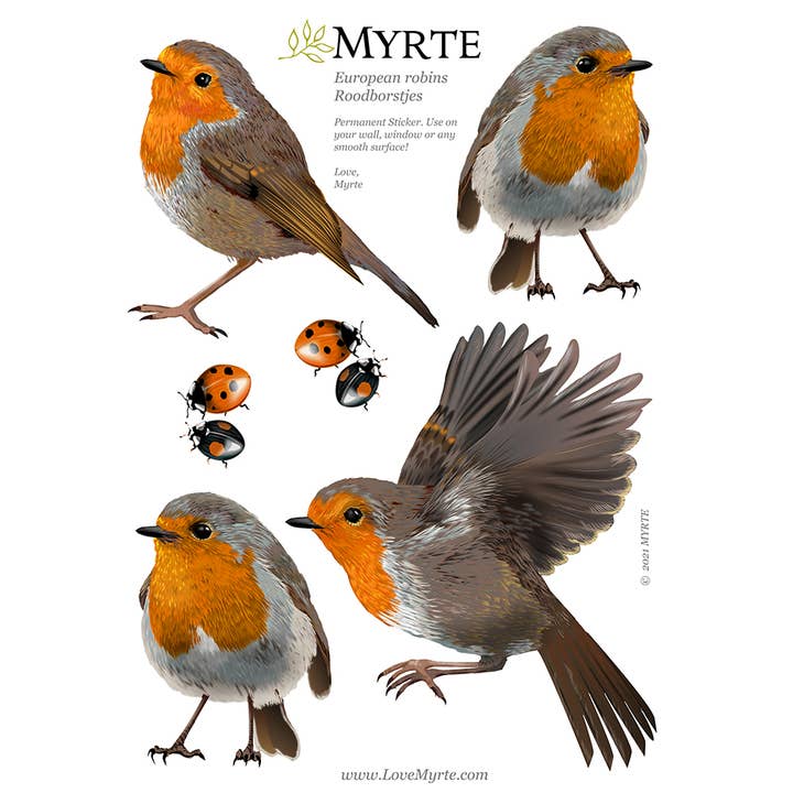 MYRTE - Vente Autocollant mural - Autocollant mural Illustration Robin7