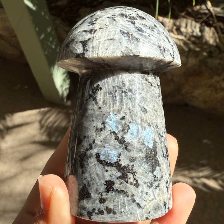 ZeeRocks - Wholesale Spiritual Stone/Crystal - LARVIKITE MUSHROOMS3