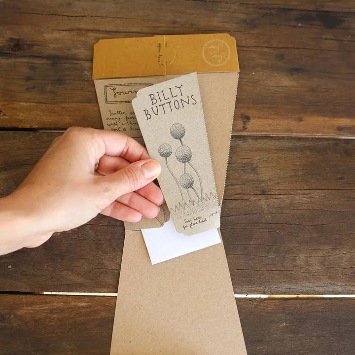Sow 'n Sow - Wholesale Plant Seeds - Billy Buttons Gift of Seeds (Australia Only)