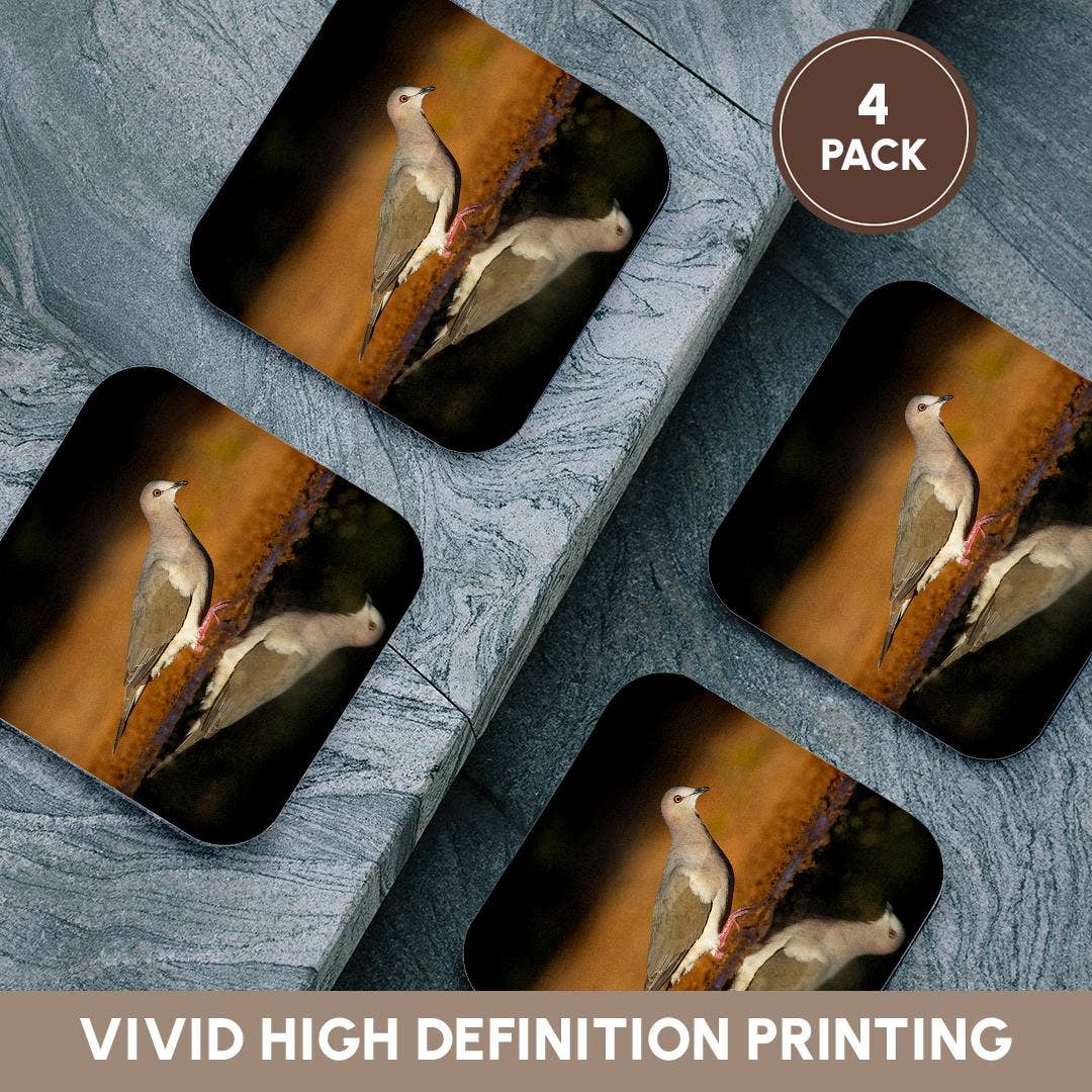 3dRose - Wholesale Coasters - 3dRose, White-tipped dove, Leptotila verreauxi by pond., Coaster12