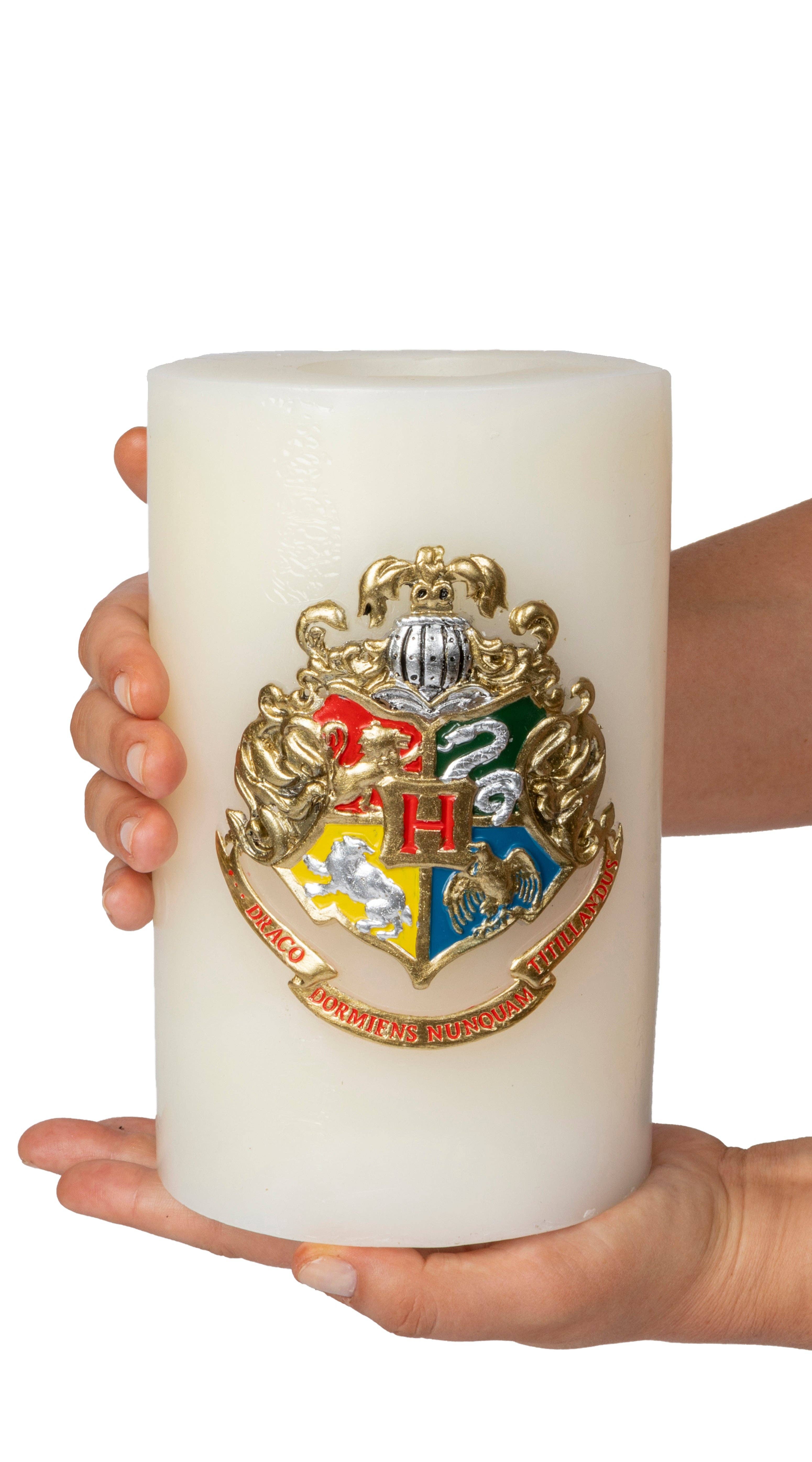Wholesale Harry Potter: Hogwarts Large Sculpted Insignia