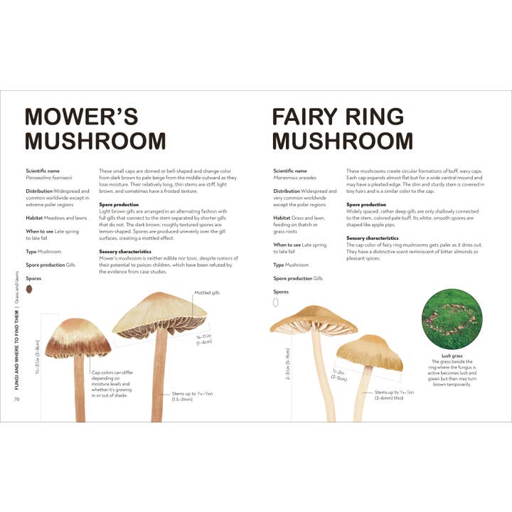 Penguin Random House LLC - Wholesale Nature & Outdoors - Fungi Gardeners4