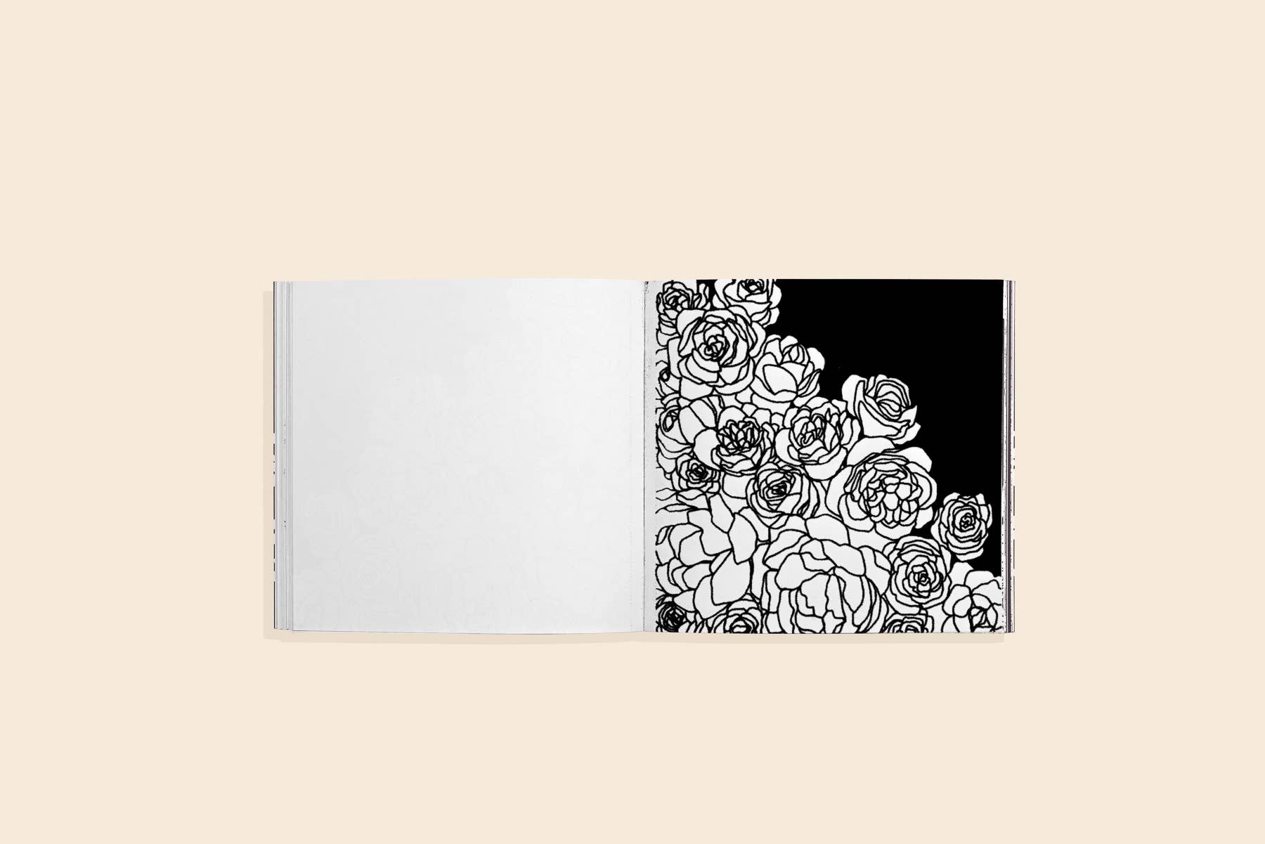 Penguin Random House LLC - Wholesale Coloring & Activity Book - Adult - Bloom (Mini)2