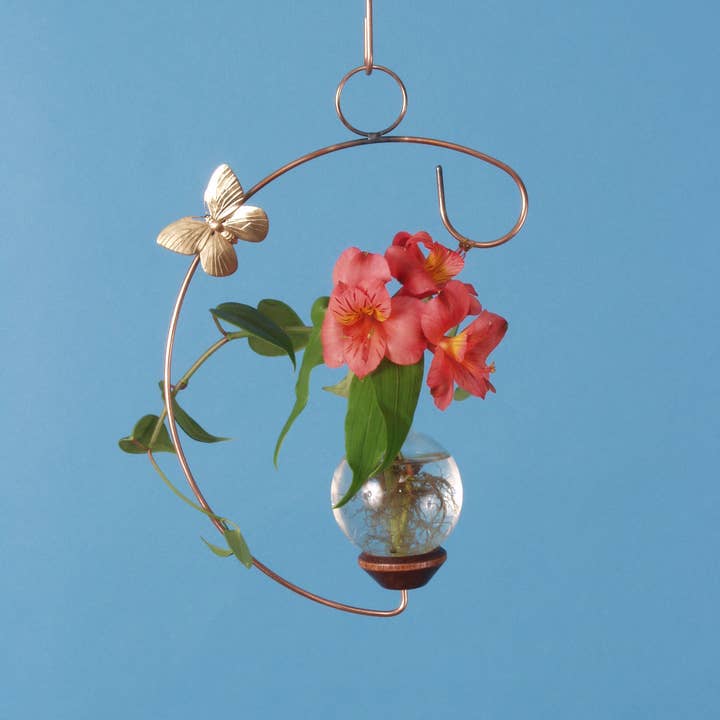 The Brass Butterfly - Wholesale Vase - Crescent Hanging Plant Propagation Rooting Vase5