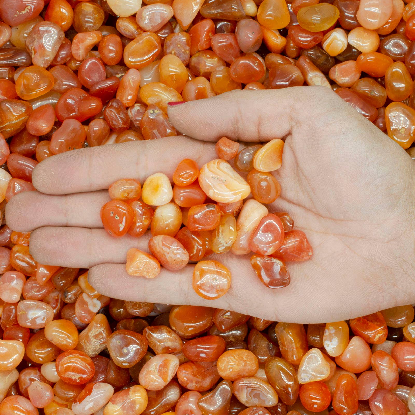 Fantasia Mining - Wholesale Spiritual Stone/Crystal - Tumbled Botswana Carnelian - 0.5" to 0.75" - Size 5 (1lb)1