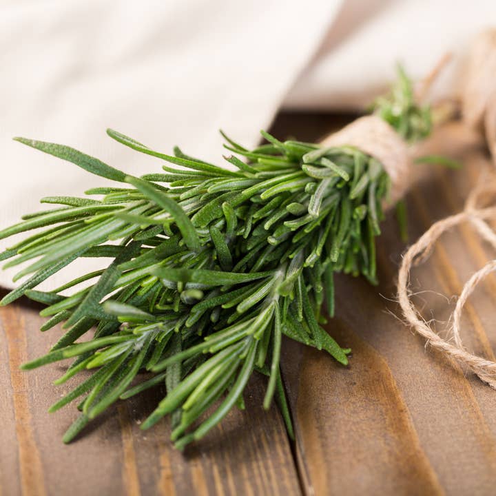 ÓLEO ESSENCIAL DE ALECRIM por atacado de KAMSEEN