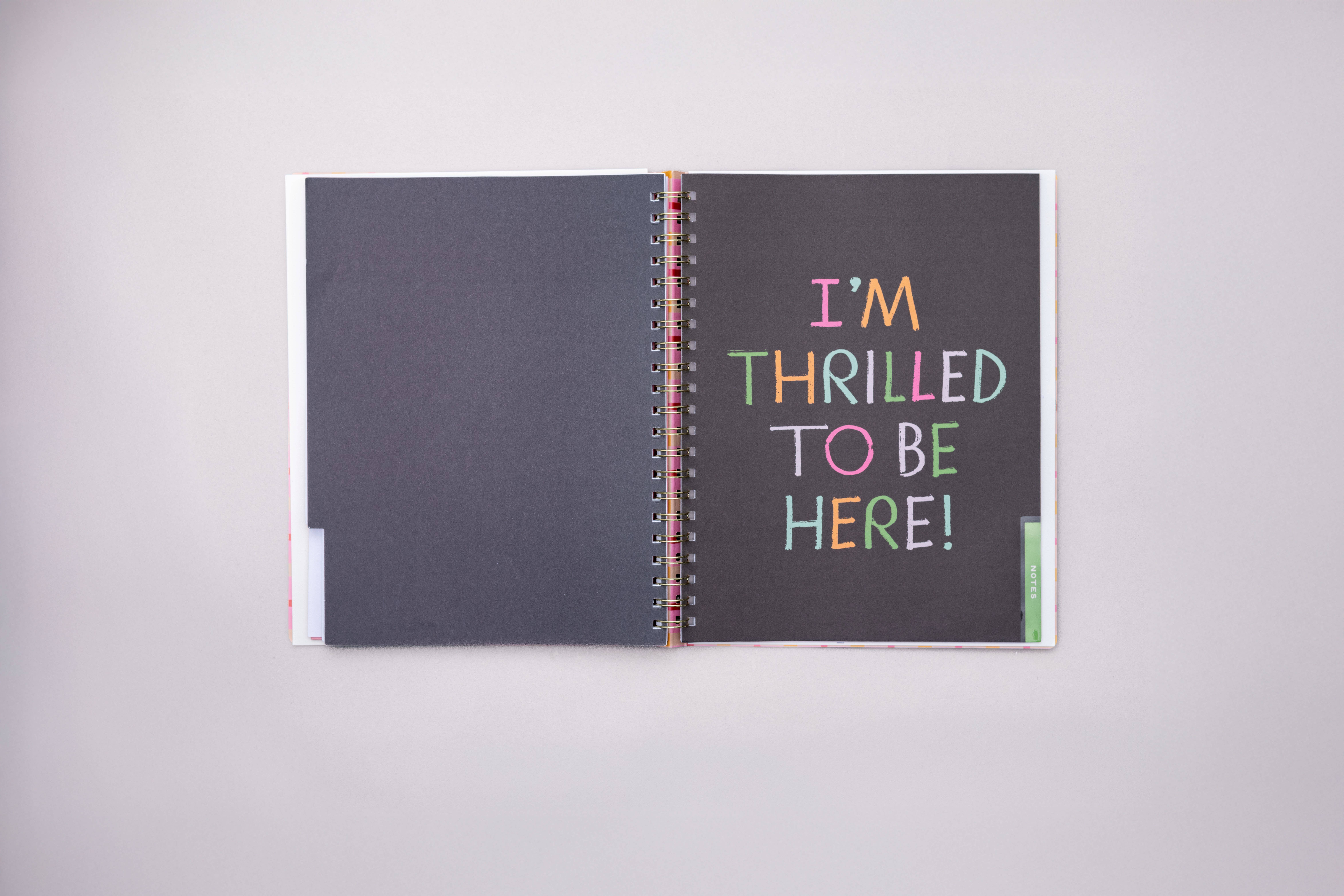 Ban.do - Wholesale Planner - Weekly Undated Planner (Semi-Concealed), Ready for Anything8