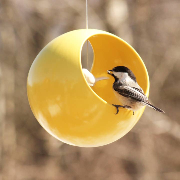 Cōppa Cōllaborative LLC - Wholesale Bird Feeder - Birdie Bird Feeder12