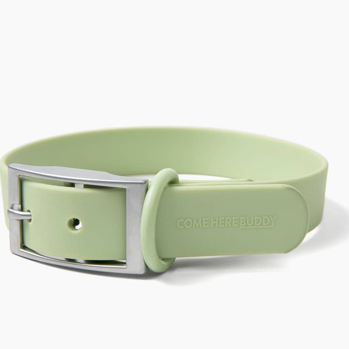 Come Here Buddy - Wholesale Pet Collar - Dog - Dog Collar5