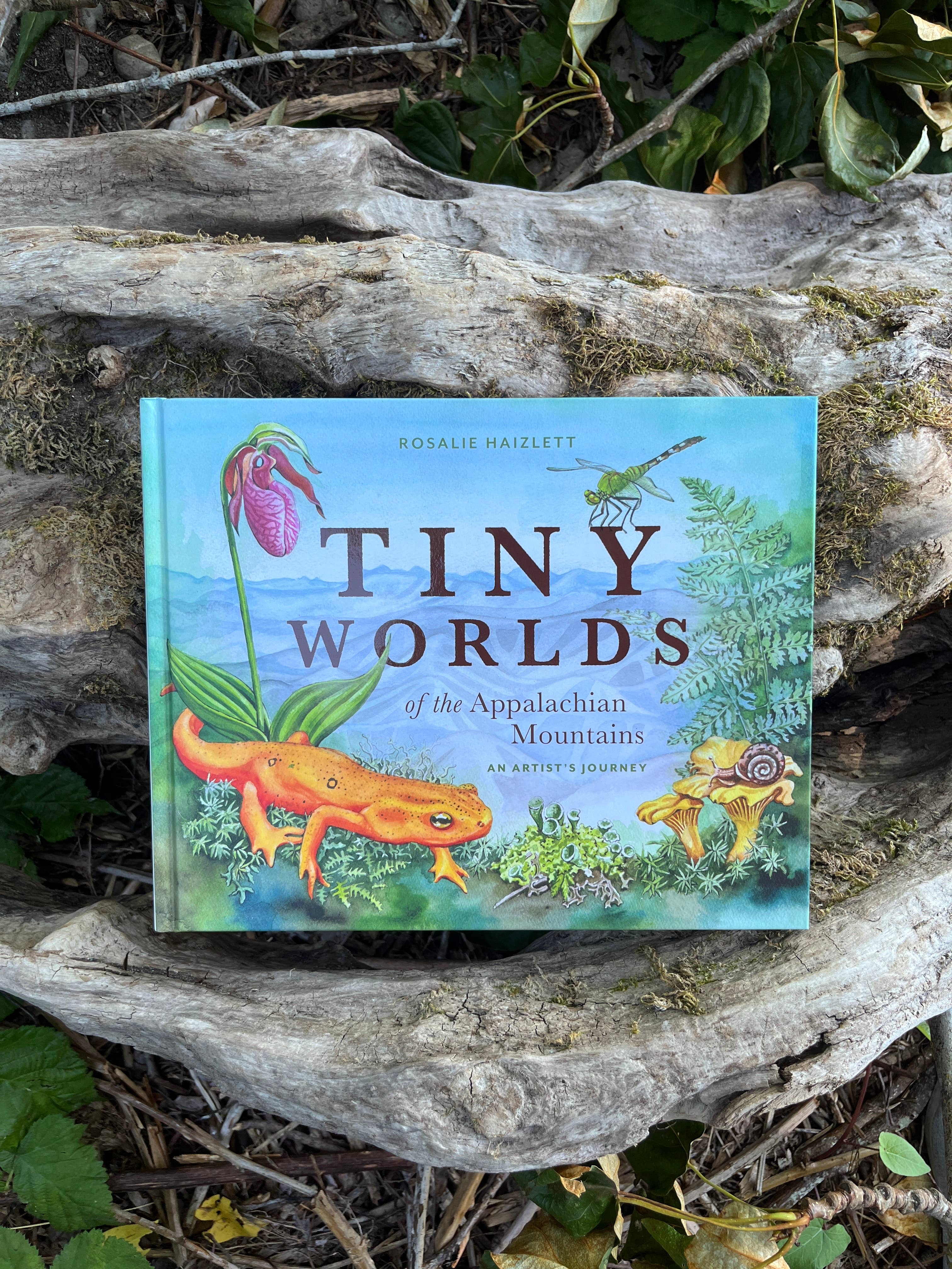 Mountaineers Books - Wholesale Nature & Outdoors - Tiny Worlds of the Appalachian Mountains1