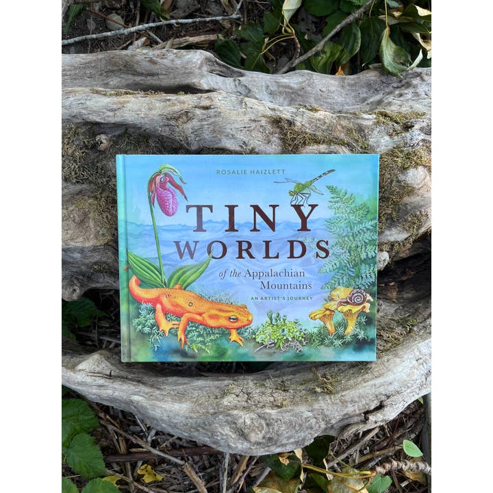 Mountaineers Books - Wholesale Nature & Outdoors - Tiny Worlds of the Appalachian Mountains1