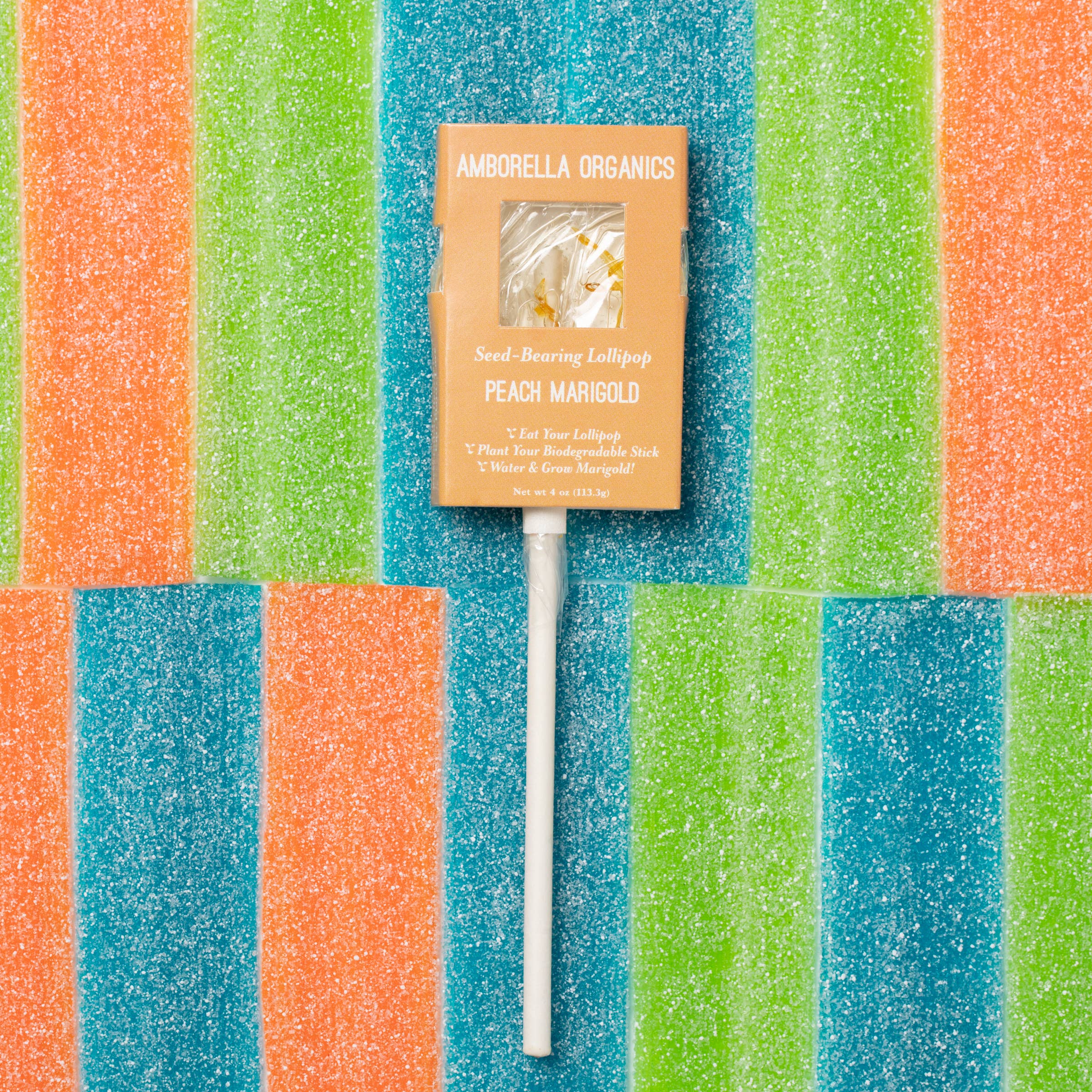 Amborella Organics - Wholesale Lollipop - Halloween Lollipop 8 Pack (Eat, Plant & Grow a Herb/Flower)10