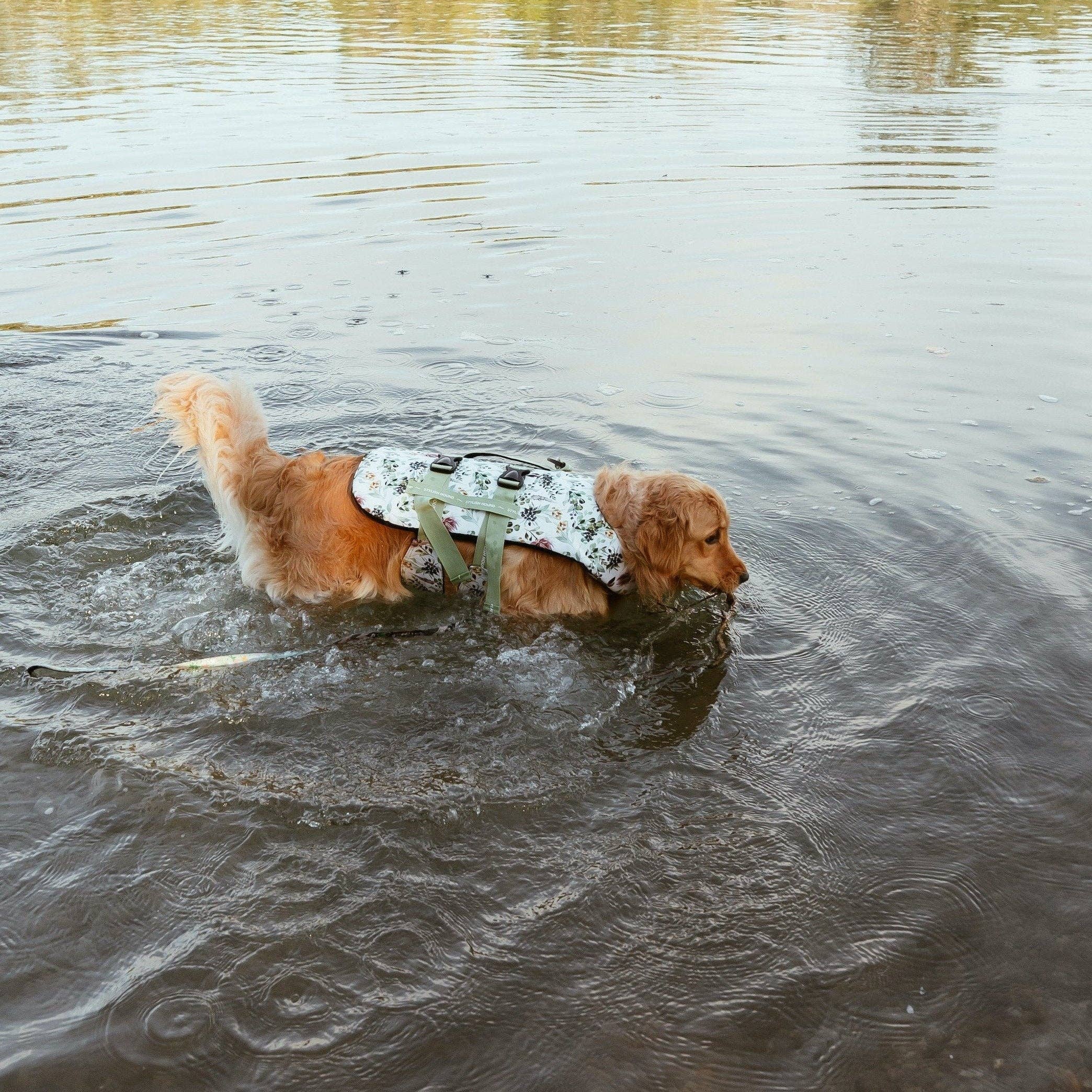 Stylish Hound – Großhandel Haustierjacke – Hund – Evergreen Schwimmweste für Hunde12
