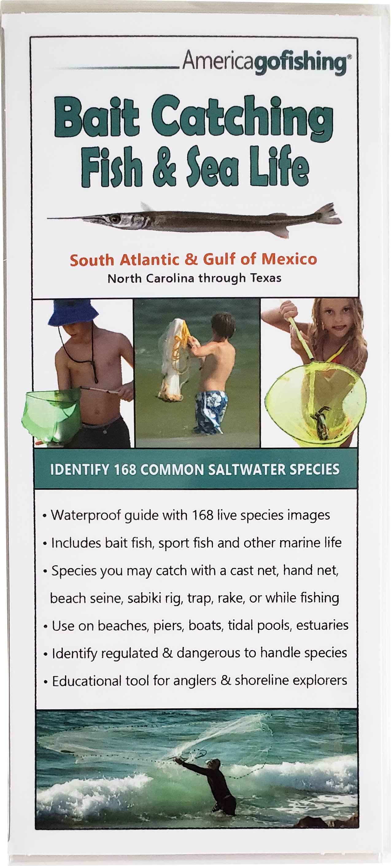 America Go Fishing - Wholesale Nature & Outdoors - Bait Catching Fish and Sea Life Guide - So. Atlantic1