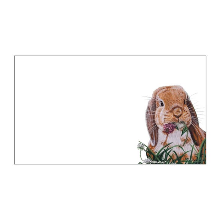 Floppy Eared Easter Bunny "Love Notes" Pack of 60 Tiny Cards for wholesale by Forever Caroline LLC