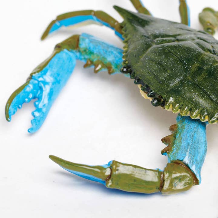 Safari LTD - Canada - Wholesale Figurine Toy - Kids - Blue Crab - 269729
