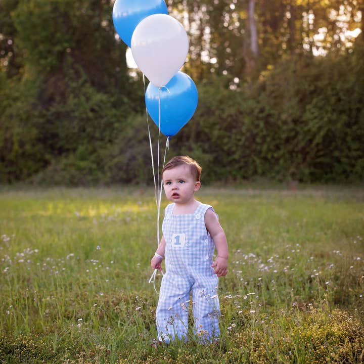 Seven Lantern Lane - Wholesale Jumpsuit - Baby - Boys Smocked First Birthday Jon Jon2