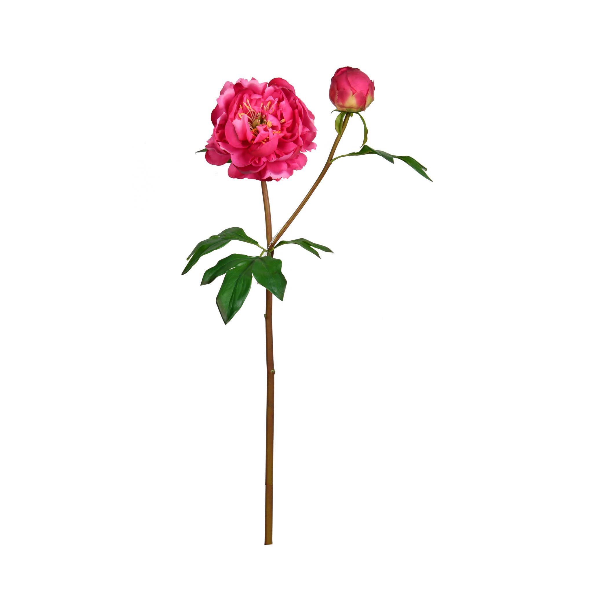 Mills Floral Company - Wholesale Artificial Flowers - Real Touch Peony Flower Bloom - 24.5 Inch - Fuchsia1