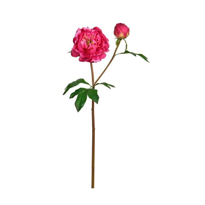 Mills Floral Company - Wholesale Artificial Flowers - Real Touch Peony Flower Bloom - 24.5 Inch - Fuchsia1