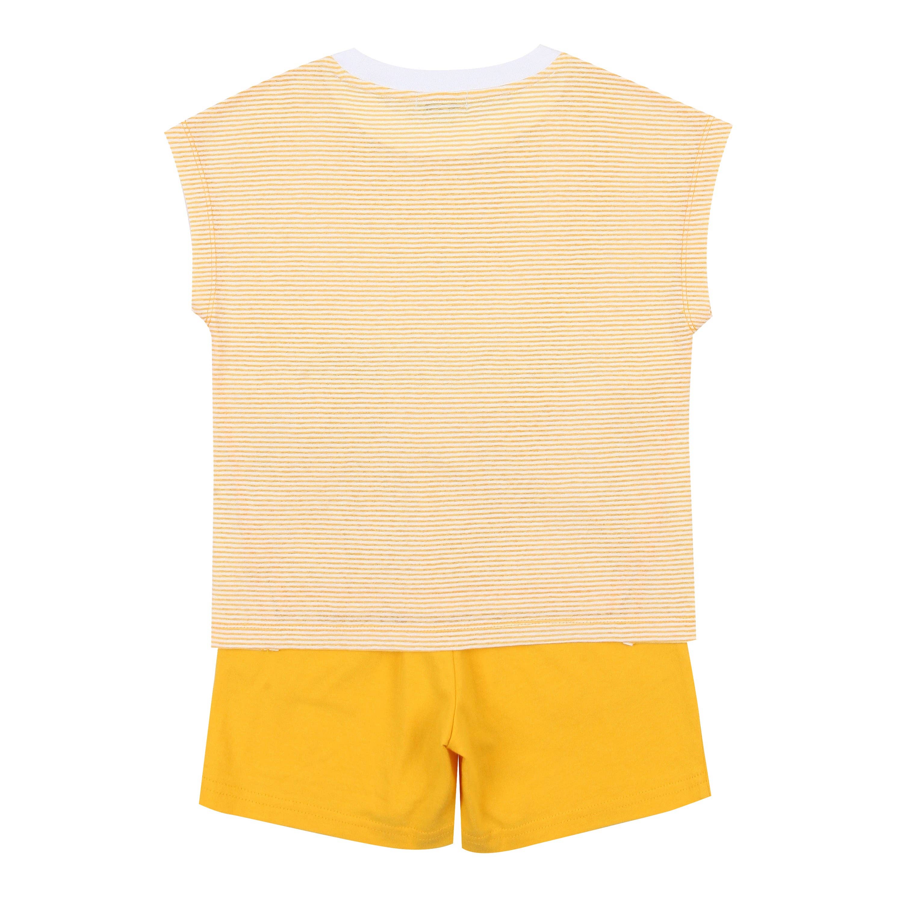 ToTo Heros - Wholesale Top & Short Set - Kids - Davin Striped T-Shirt & Solid Shorts Set11