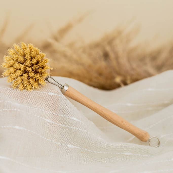 The Waste Less Shop - Wholesale Cleaning brush - Beechwood Long Handle Dish Brush – Soft Agave1