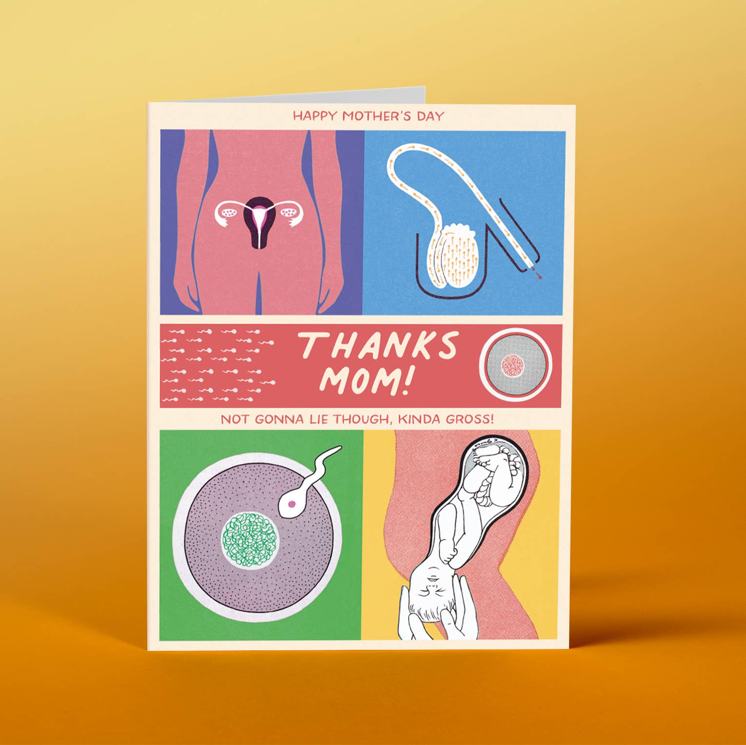 offensivedelightful - Wholesale Mother's Day Card - GROSS MOM! mother's day card0