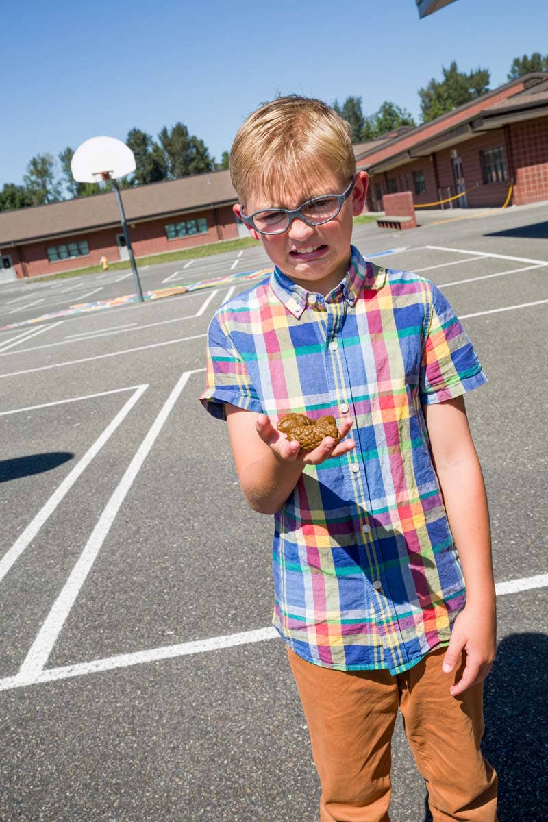 Toysmith - Wholesale Prank/Gag Gift - Prank U! Fake Doggo Doo Doo, Looks So Real - 4 Pieces2