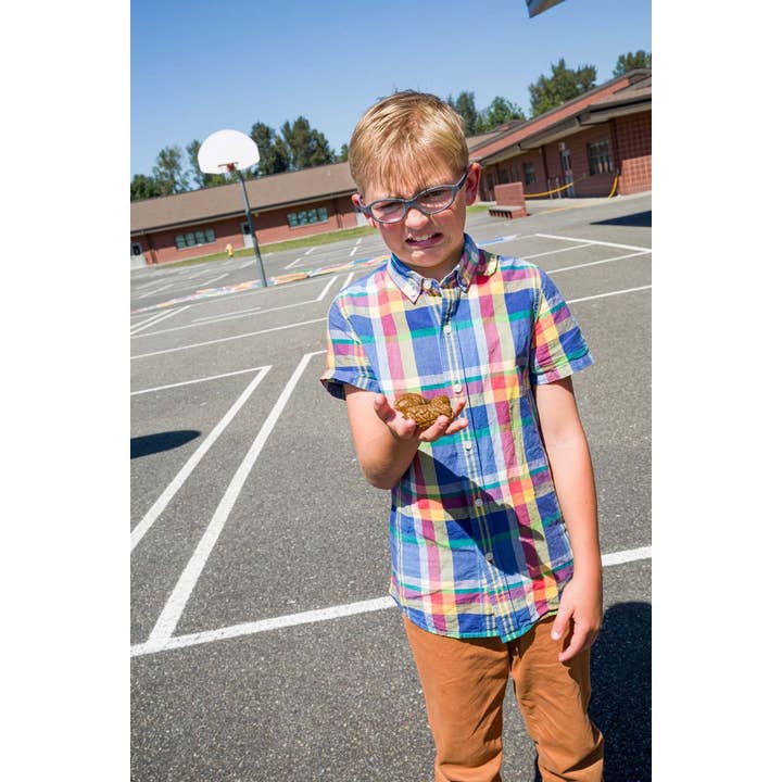 Toysmith - Wholesale Prank/Gag Gift - Prank U! Fake Doggo Doo Doo, Looks So Real - 4 Pieces2