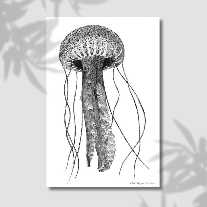 The Jellyfish for wholesale by Lison Trépos-Tanneau
