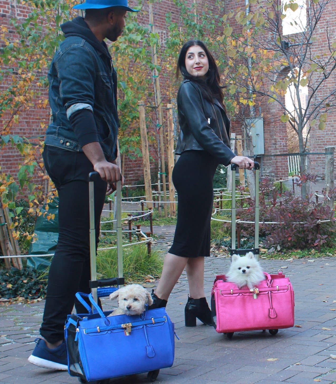 A Pet with Paws® LLC - Wholesale Pet Carrier - Cat/Dog - Madison Carrier With Pet Trek9