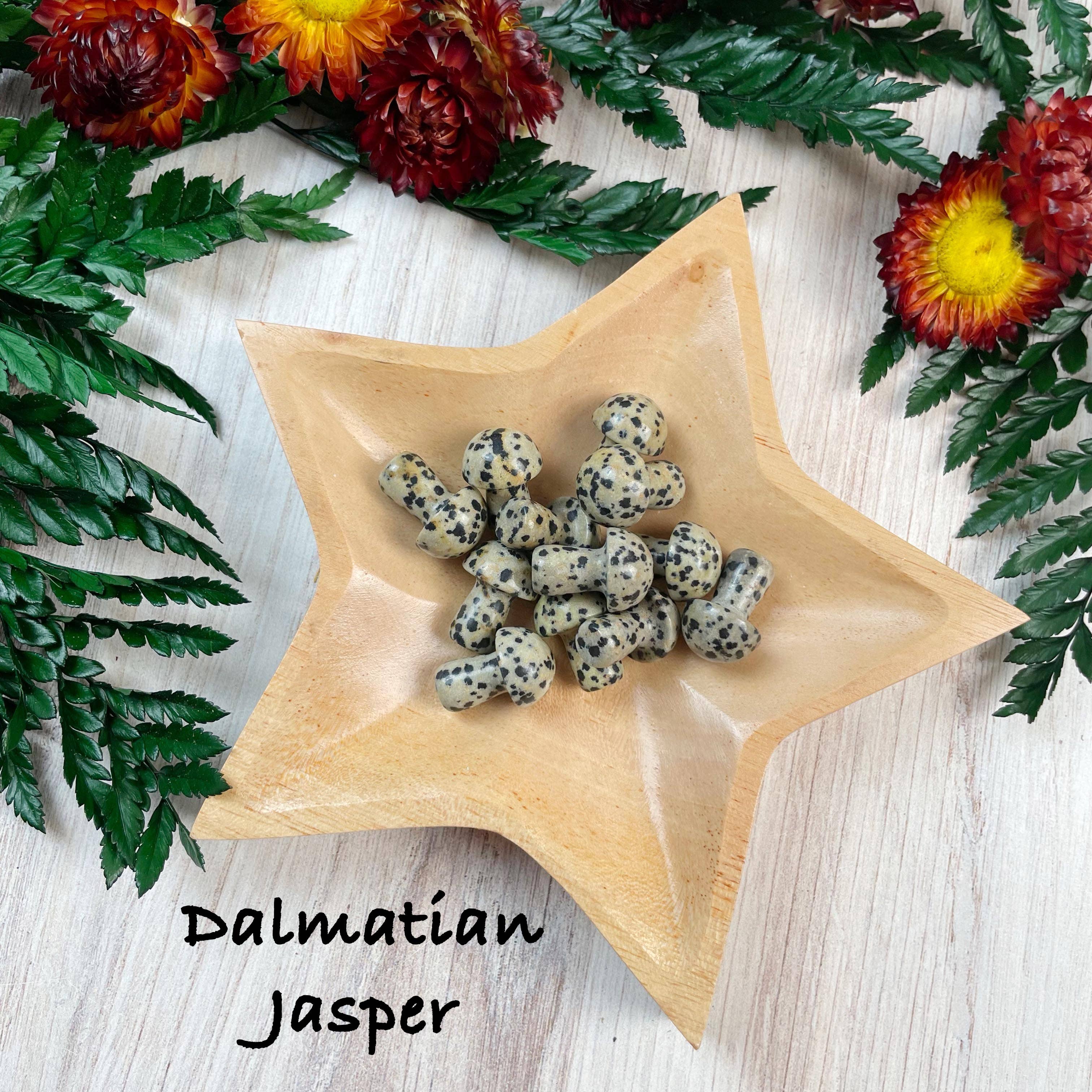 Ewelina Pas Jewelry - Wholesale Spiritual Stone/Crystal - MINI Gemstone Mushroom Pocket Stone9