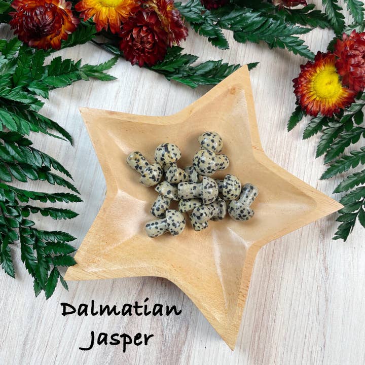 Ewelina Pas Jewelry - Wholesale Spiritual Stone/Crystal - MINI Gemstone Mushroom Pocket Stone9