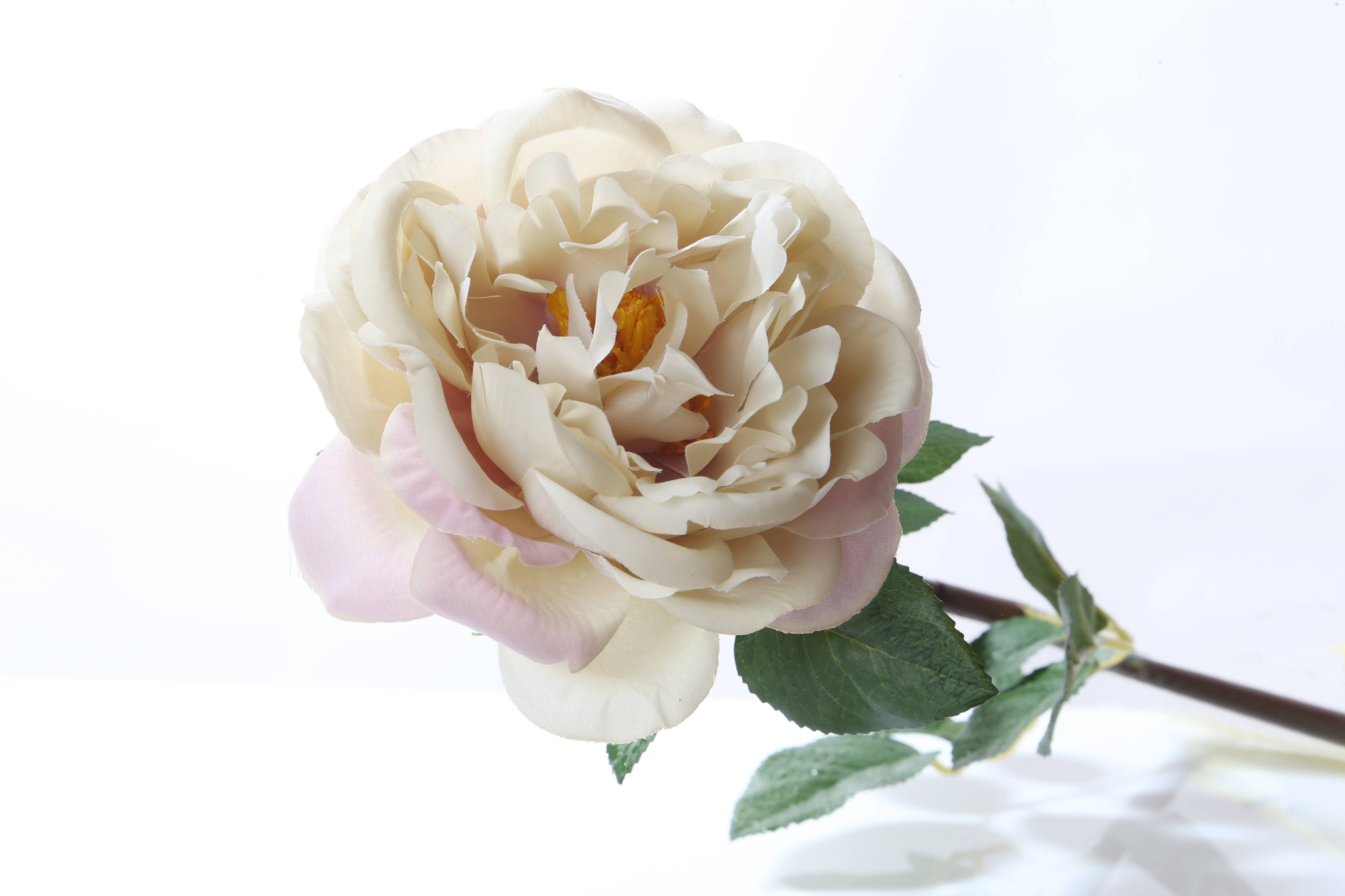 Mezu Silk Flowers – wholesale Artificial flowers – Artificial Vintage Pink Large Single Old English Rose1