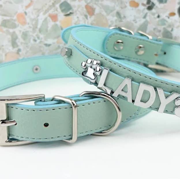 House of FurBaby - Vente Collier – chat et chien - Collier pour animaux personnalisable Sniffany Bleu Chrome0